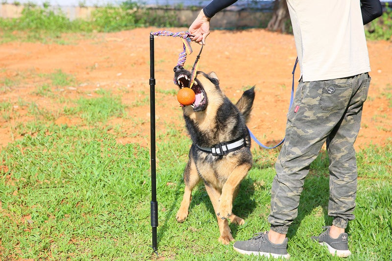 Highland Farms Select Dog Retractable Interactive Training Tug Toy - Pet Obedience Training Tug - Stable Exercise Metal Pole & Spring Rod with Replaceable Chew Rope for Small/Medium Dogs - Image 5